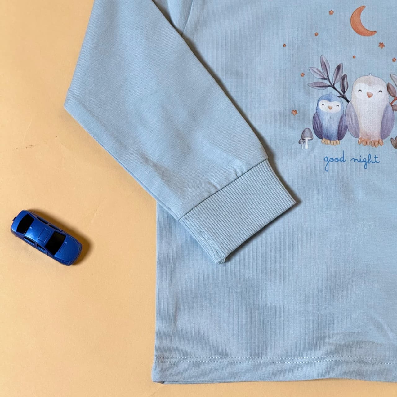 Blue Full Sleeve Sweatshirt