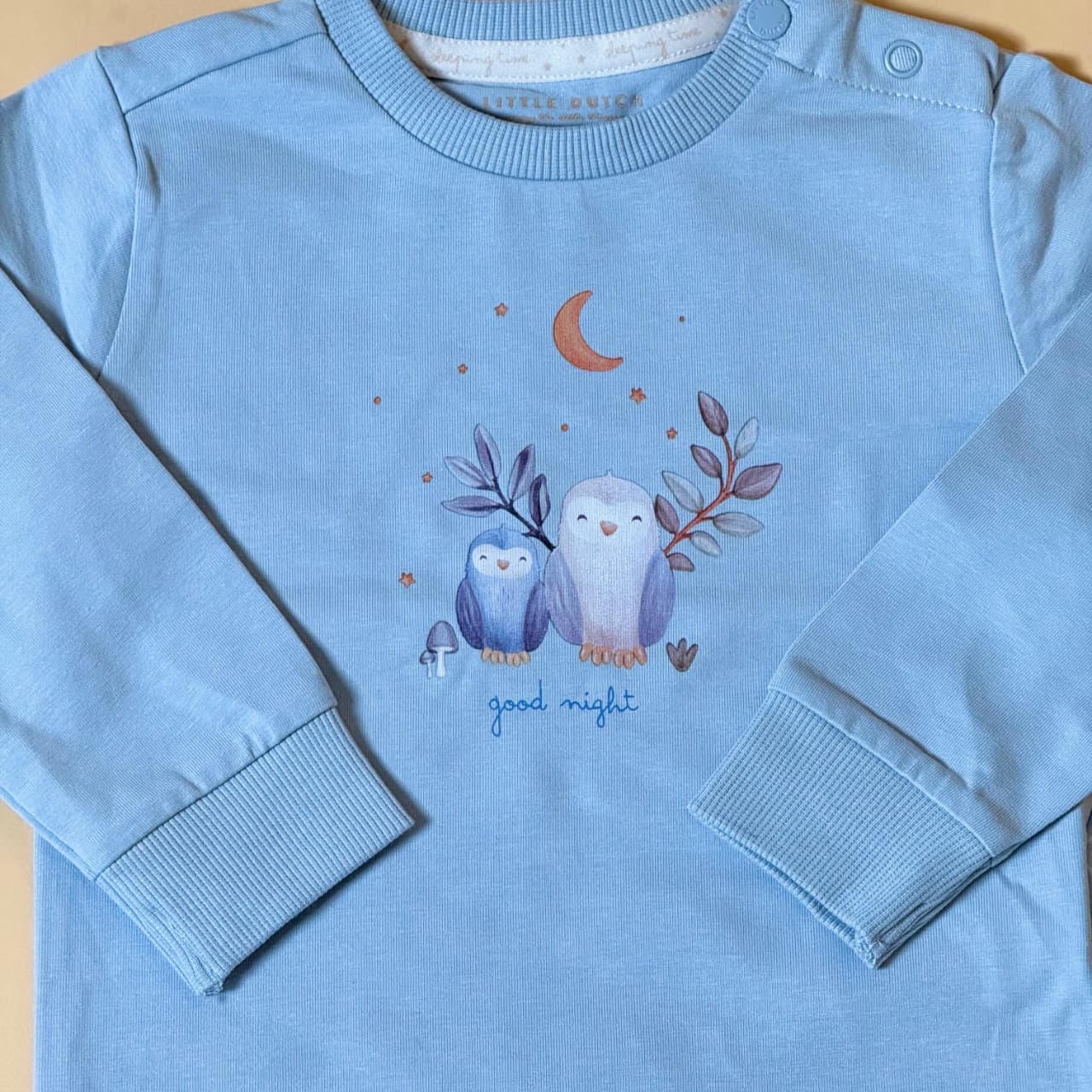 Blue Full Sleeve Sweatshirt