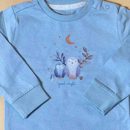 Blue Full Sleeve Sweatshirt
